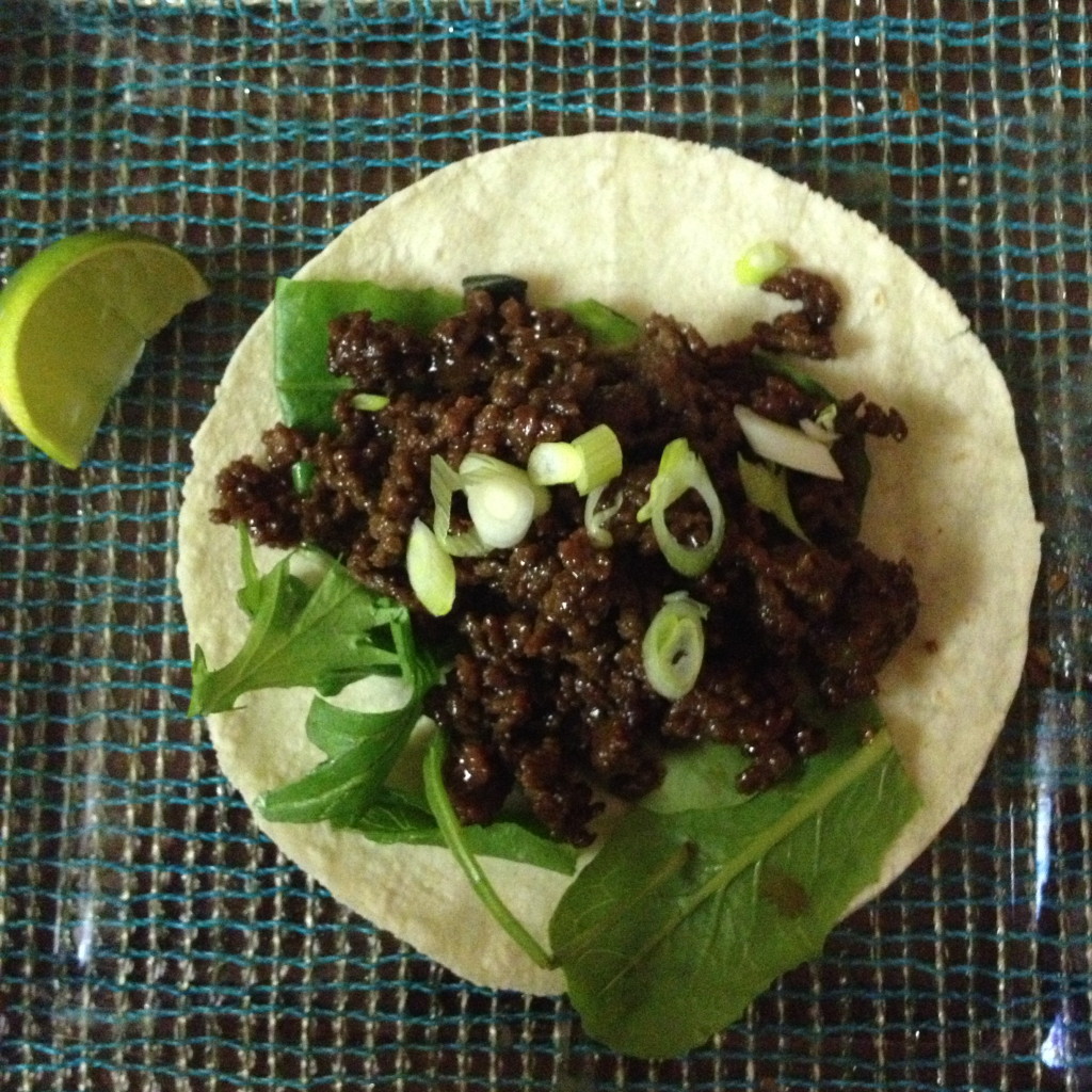 black bean tacos {the kosher foodies}