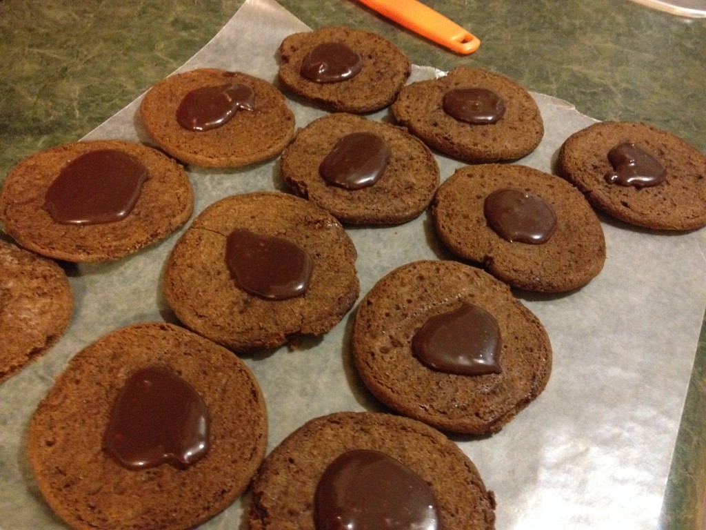 smores ice cream sandwiches