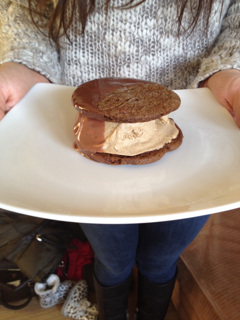 smores ice cream sandwiches by the kosher foodies