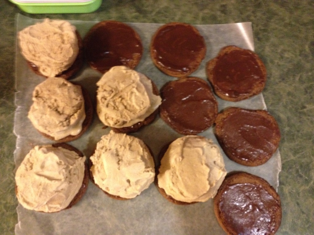 smores ice cream sandwiches